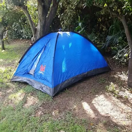 Il Giardino Dei Susini Campingplads