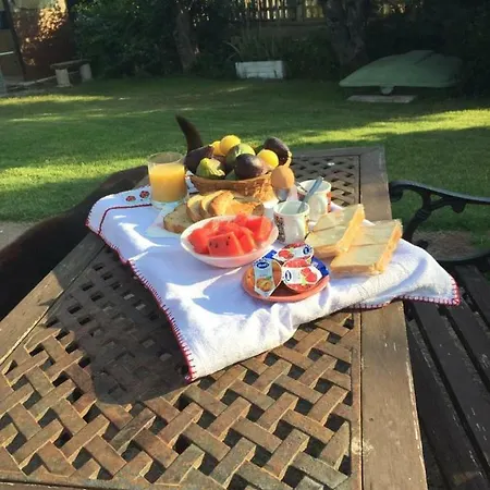 Il Giardino Dei Susini Campingplads