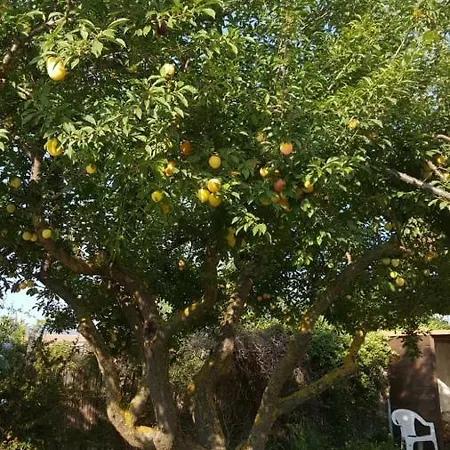 Campingplads Il Giardino Dei Susini